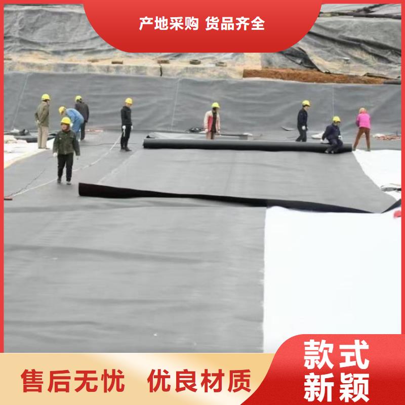 土工膜聚酯布专业生产厂家本地公司