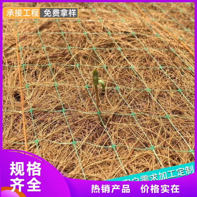 椰丝毯【玻纤土工格栅】专业按需定制懂您所需