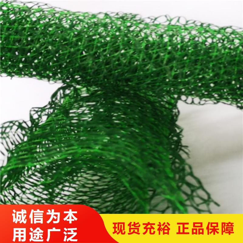 三维植被网防渗膜出货及时本地生产商