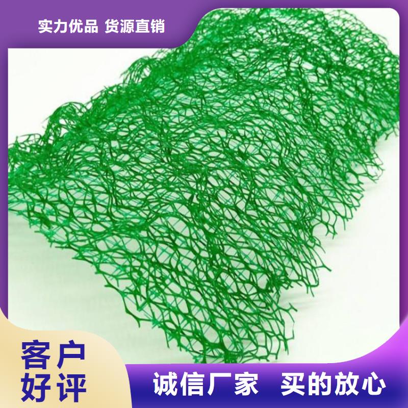 三维植被网通风降噪丝网品牌大厂家懂您所需