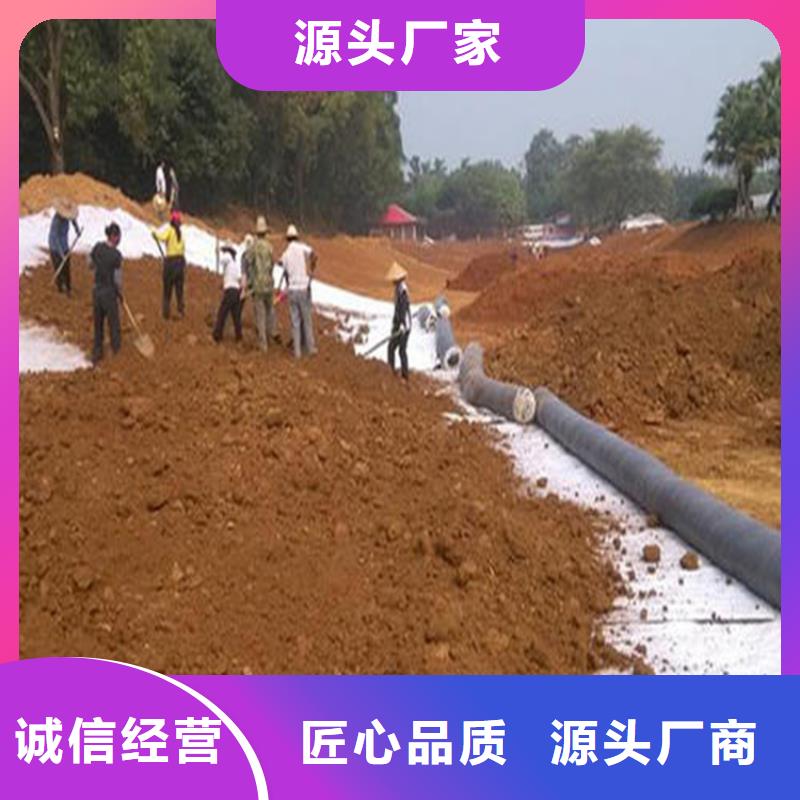 膨润土防水毯玻纤格栅优选厂家注重细节