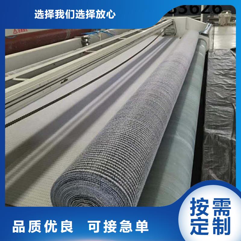 膨润土防水毯土工网垫当日价格当地制造商