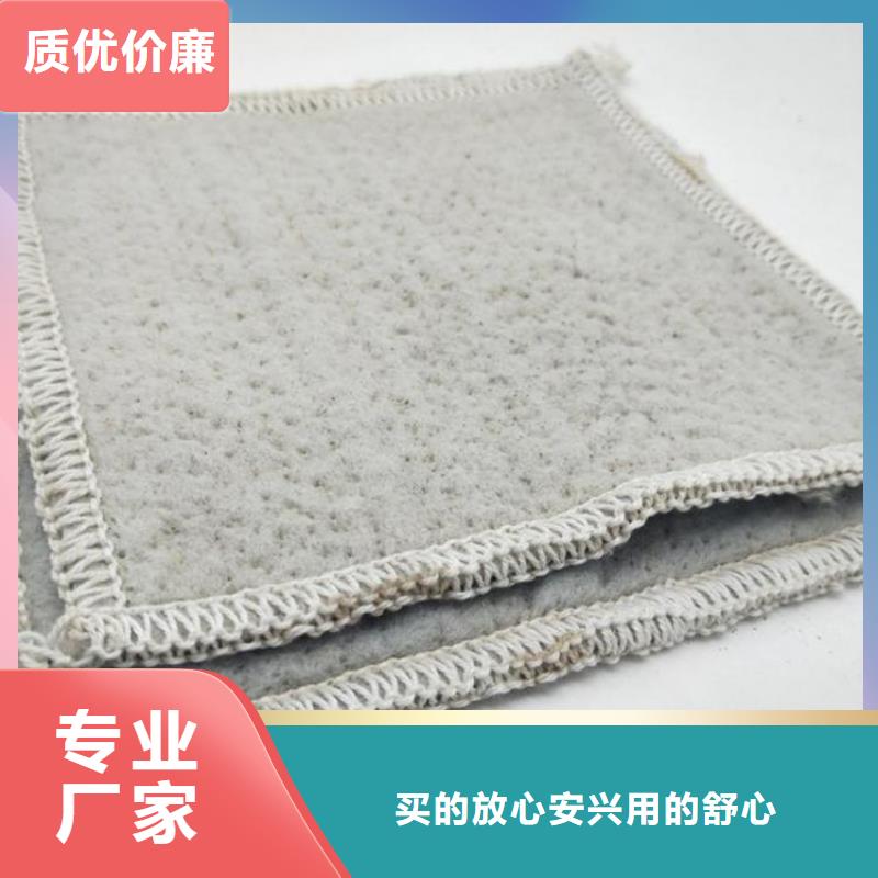 膨润土防水毯,防渗膜按需定制工厂认证