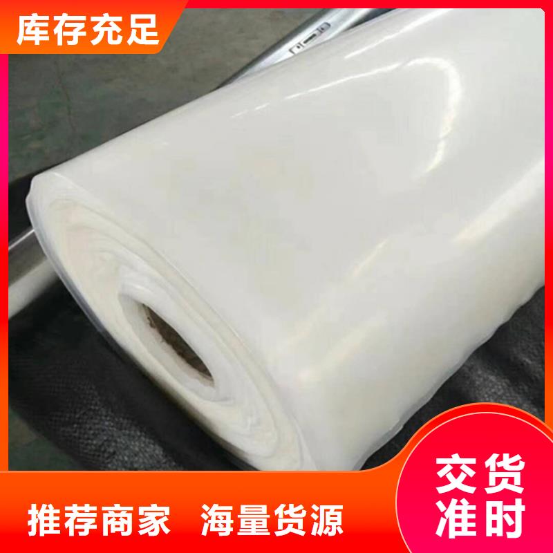 防水板【HDPE土工膜】客户好评本地公司