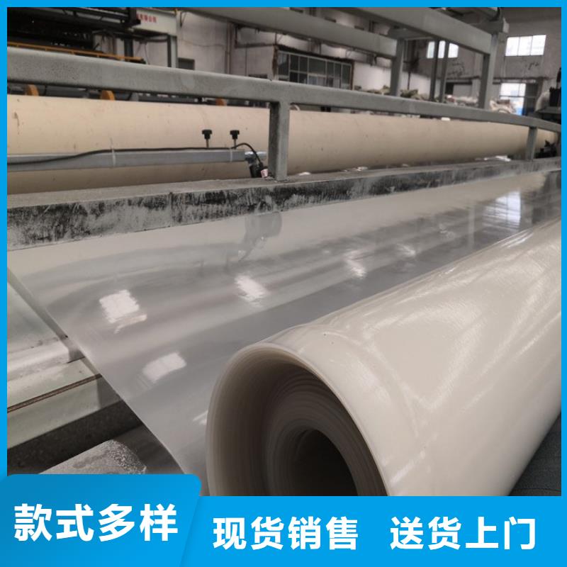 防水板双向塑料土工格栅欢迎来电询价同城服务商