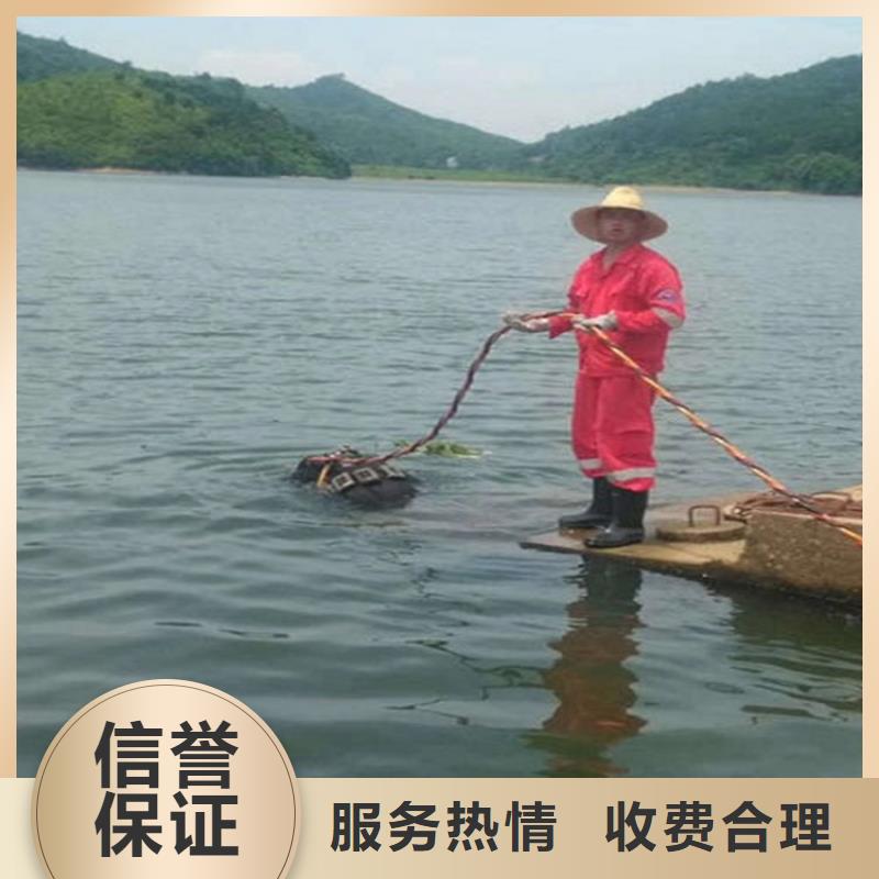 水下-水下照相服务诚信放心比同行便宜