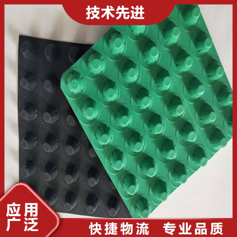 排水板塑料排水板精品优选优质工艺