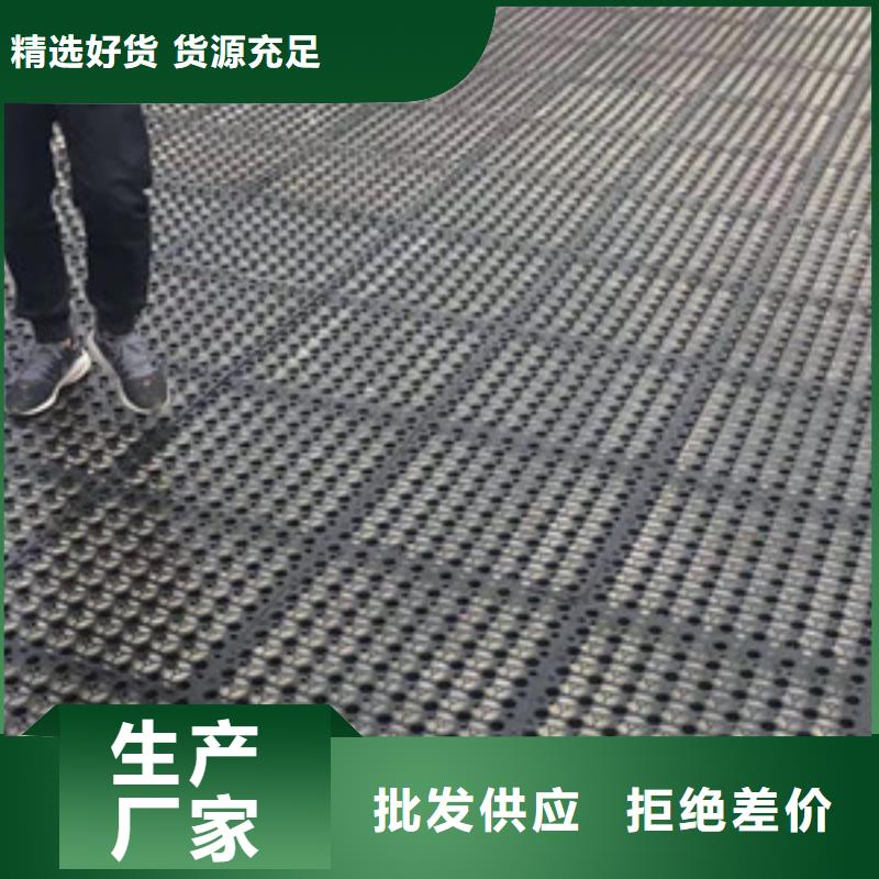 排水板_土工格栅严谨工艺专注细节专注品质