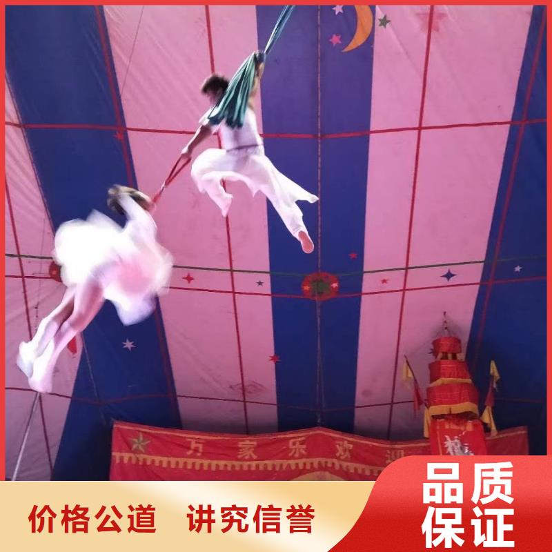 【马戏团/羊驼】-羊驼出租靠谱商家知名公司
