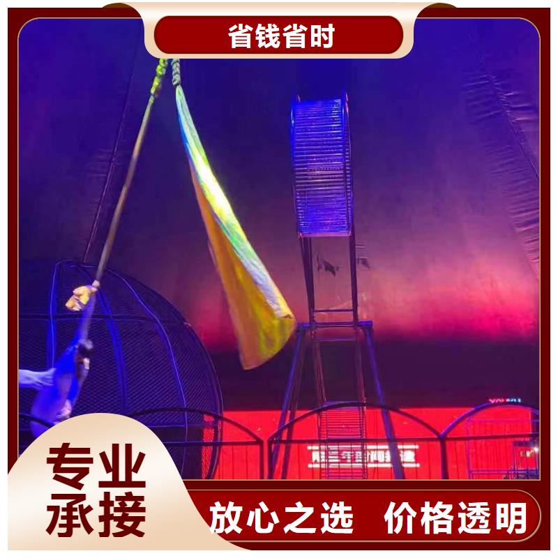 马戏团/羊驼羊驼表演专业可靠本地货源