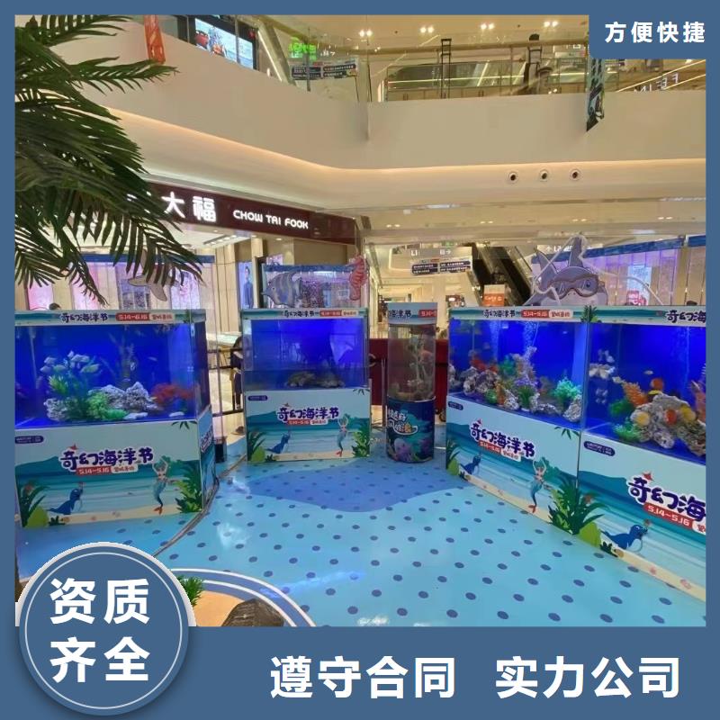 海洋主题动物表演【动物杂技表演租赁】口碑商家技术好