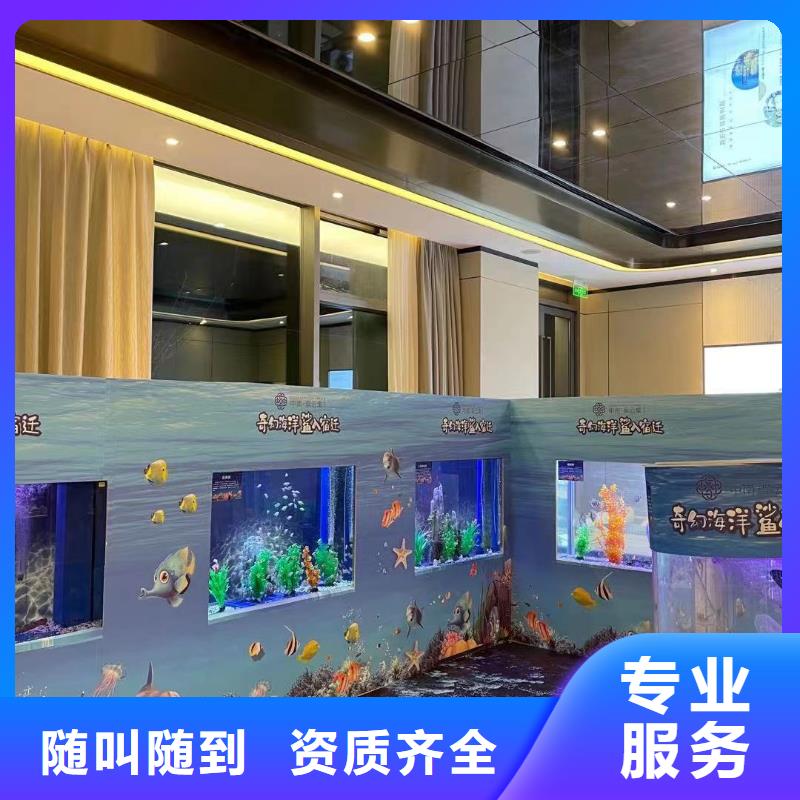 海洋主题动物表演,【企鹅表演】公司本地品牌