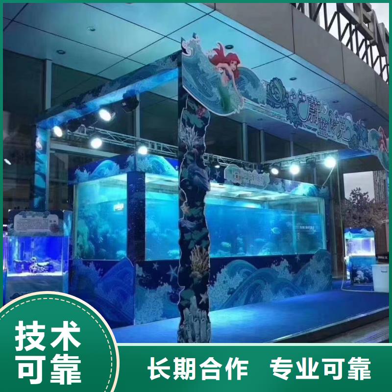 海洋主题动物表演租赁美人鱼表演快速快速