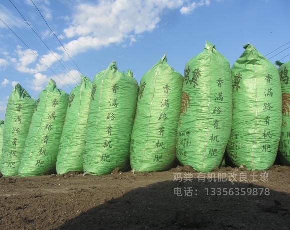 鸡粪有机肥让西红柿提早上市