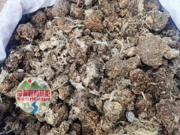 干鸡粪块肥沃庄稼地土壤