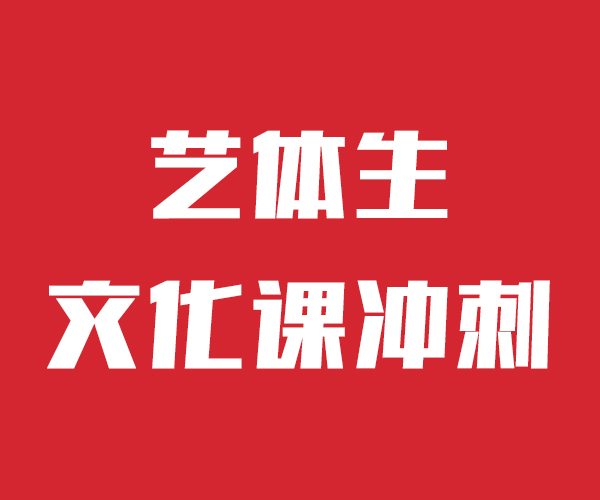 艺考文化课艺术生文化补习就业