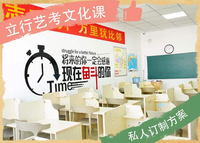 艺考文化课艺考生一对一补习正规培训