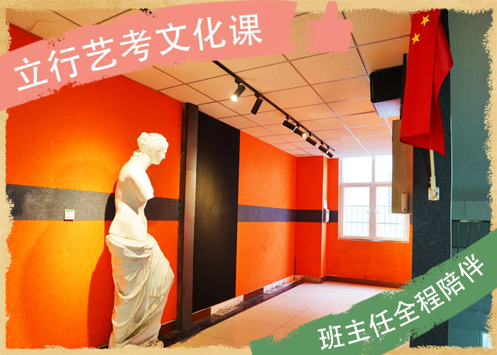 艺考文化课【高考冲刺班】学真技术同城生产厂家