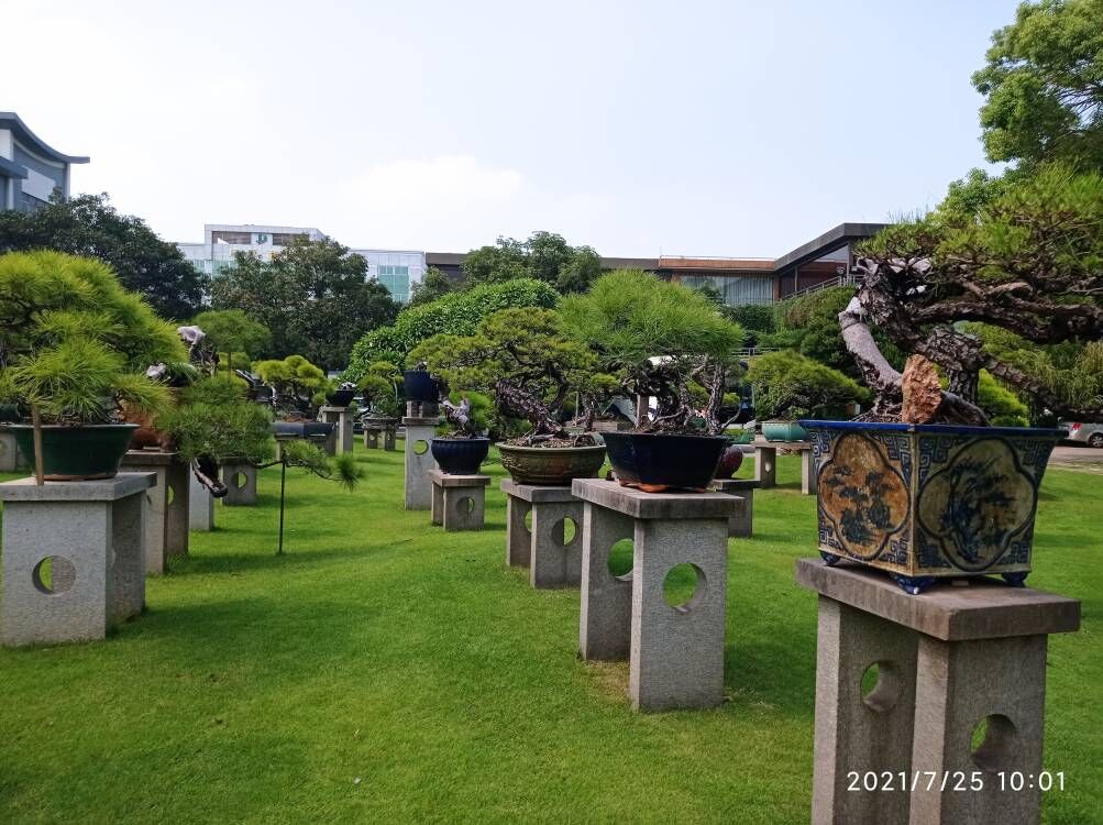 土壤固化剂油泥改性固化剂设备齐全支持定制