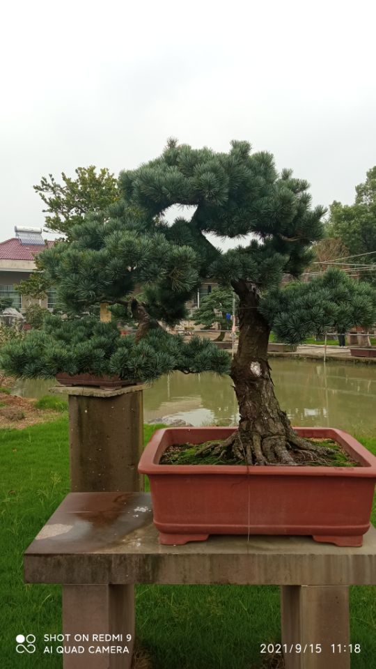 土壤固化剂_沙土固化剂实体厂家