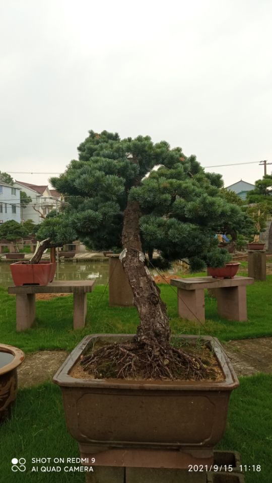 土壤固化剂产地采购