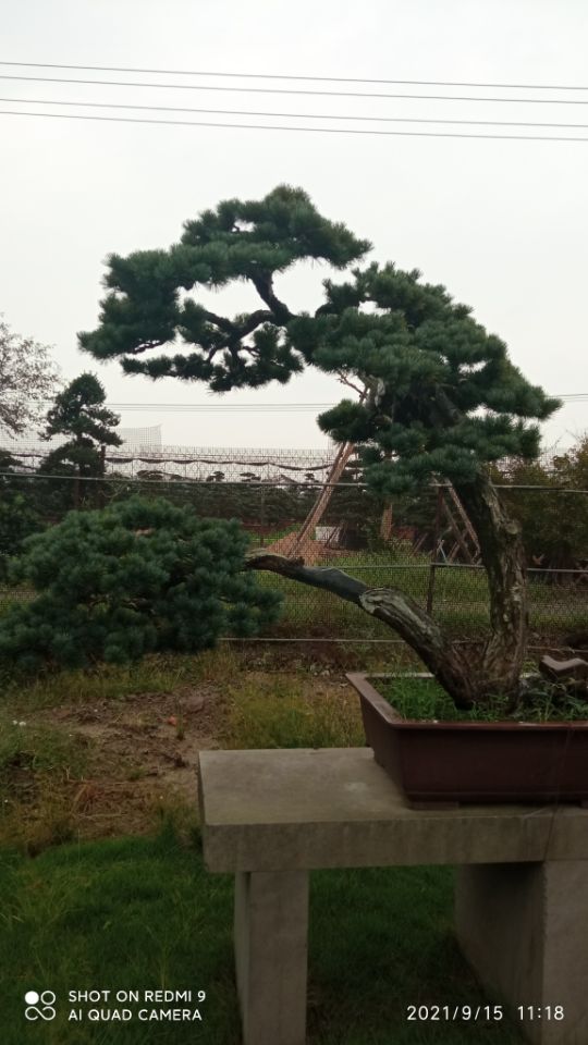 土壤固化剂固废免烧砖固化剂颜色尺寸款式定制