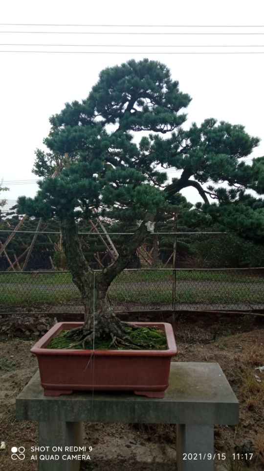 淤泥原位土壤固化污泥改性剂品质保证